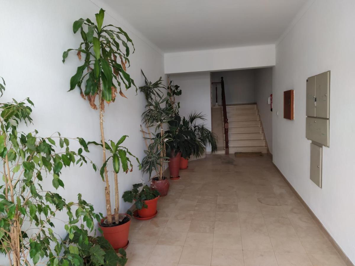 Apartamentos Bau-Doce Cercal do Alentejo Extérieur photo
